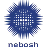 NEBOSH certified HR consultants
